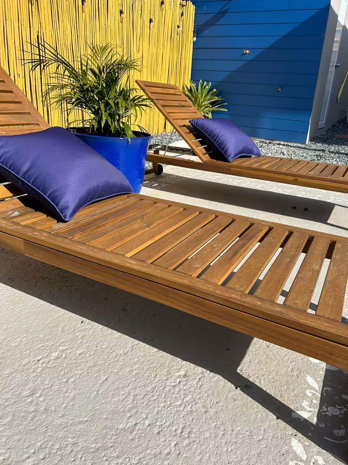 Beach loungers by the water